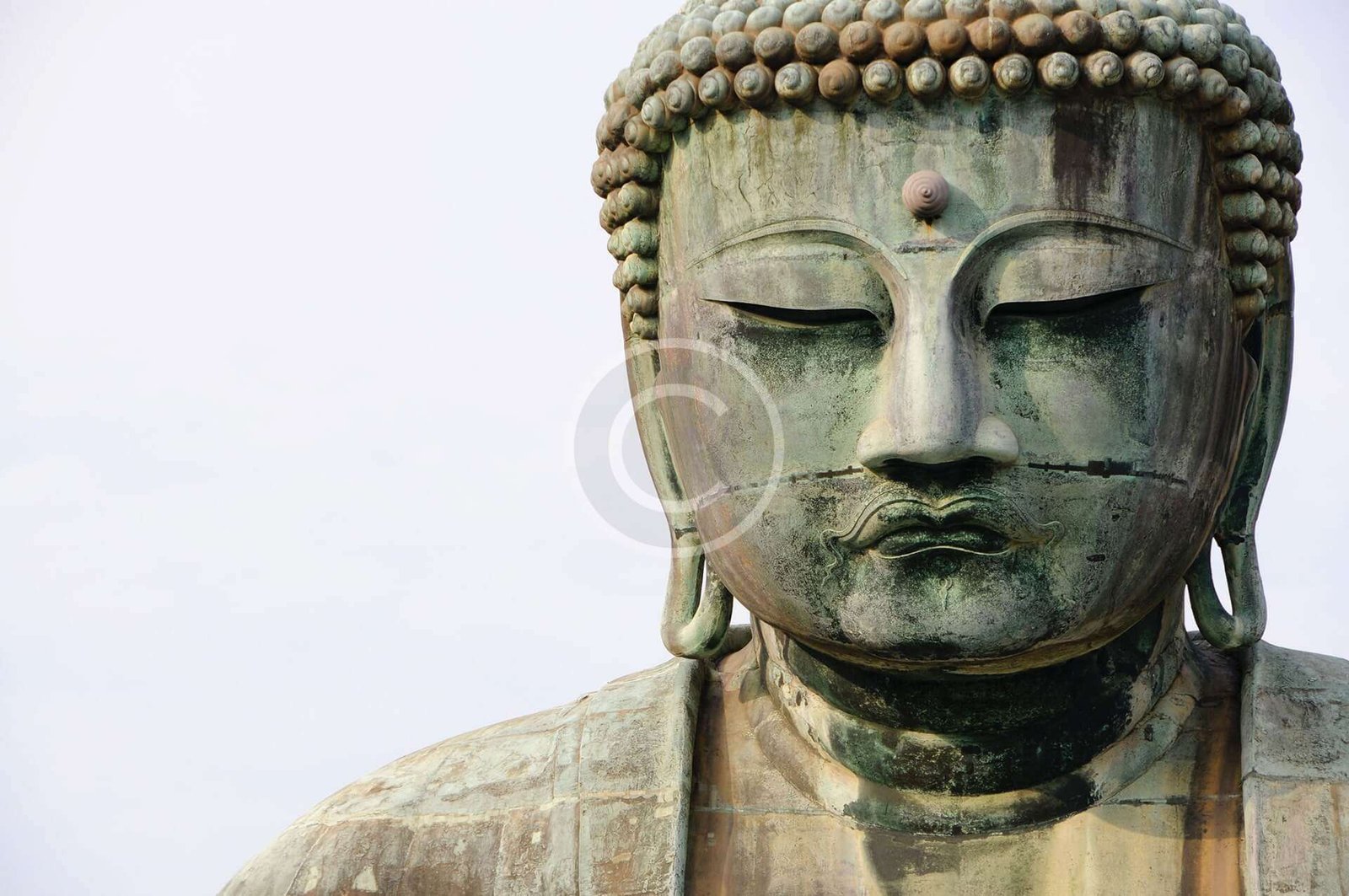 image-45-copyright-min